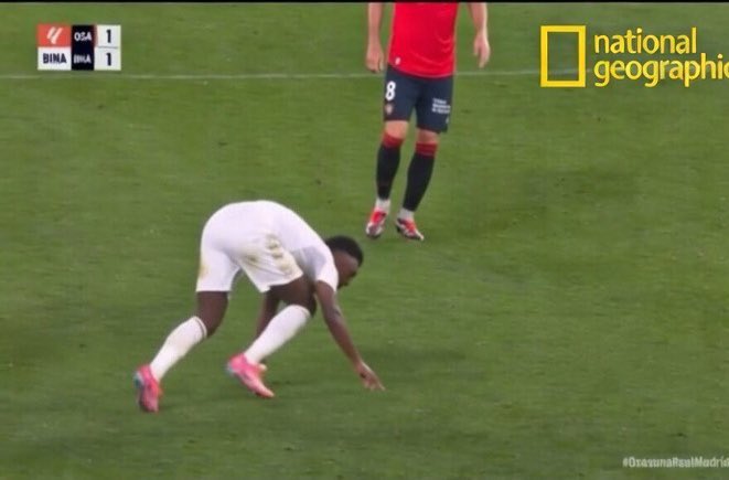 mira el tweet que nos perdimos 😭😭😭😭😭