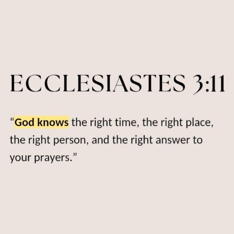 Bible 365 tweet media