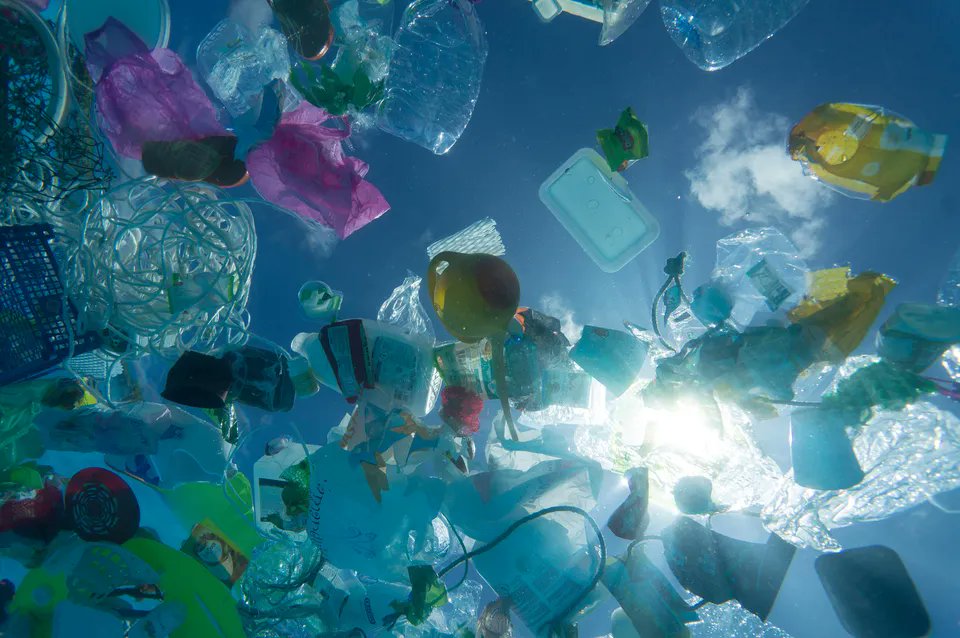 Every year, millions of tons of plastic enter the oceans.

Not because oceans produce waste —
but because land systems fail to contain it.

Ocean plastic starts on land.
#OceanPollution #MarineLife #PlasticWaste #BluePlanet