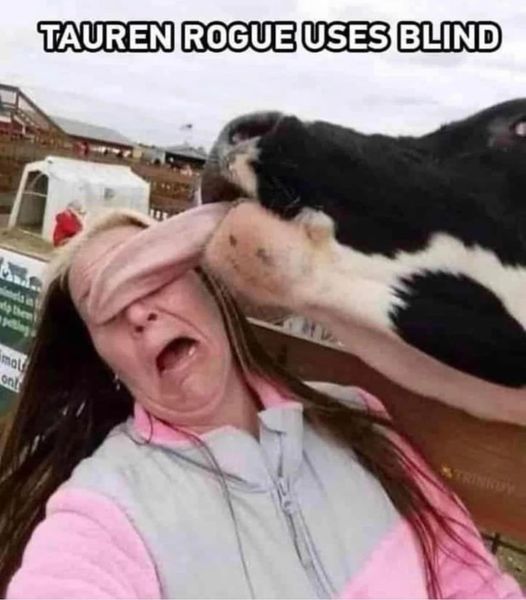 Warcraft Memes tweet media