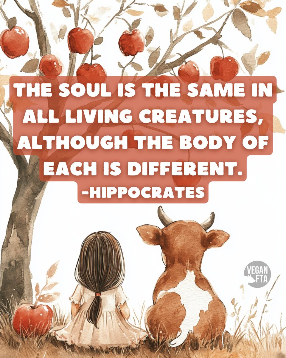 teamveganfta's tweet image. Show kindness and compassion to every animal. 🙏💚

👉 Sign the VEGAN PLEDGE: veganfta.com/vegan-pledge 🌱

#hippocrates #inspirationalquote #quote #soul #animals