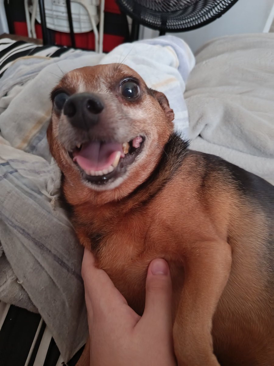 pra ele a vida é um morango