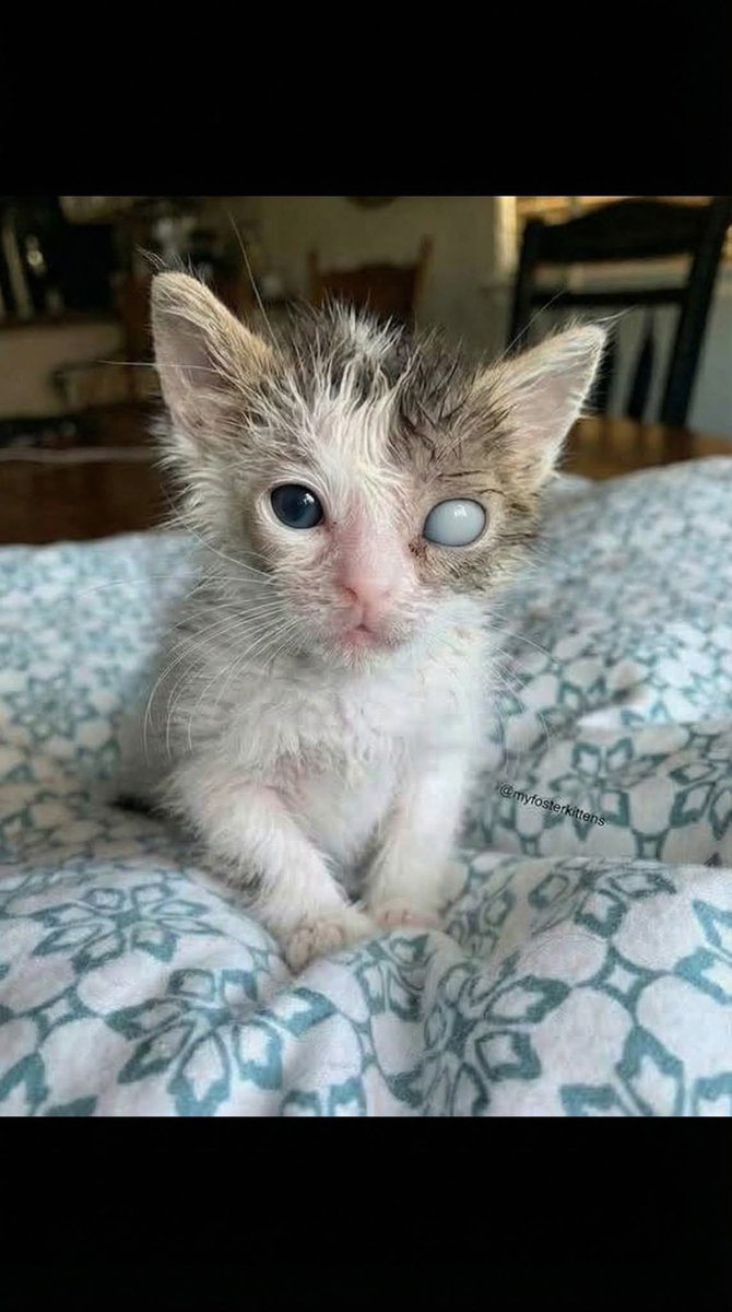 sou bonita? diga sim ou não