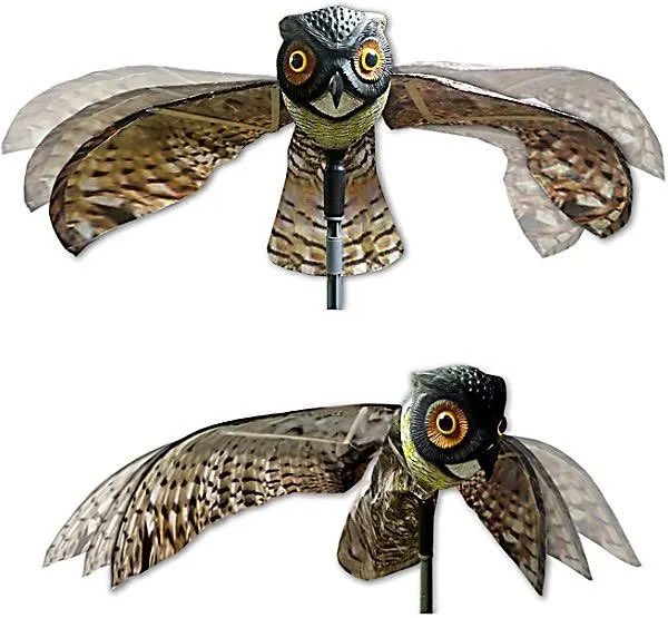 Propaganda by Omission

The things some won’t mention are what gives them away. Whether fools or propagandists, some are so obvious in their desperate bias at information farming that it becomes farce.

The most obvious fake plumage stands out in a crowd of camouflaged decoys.🦉