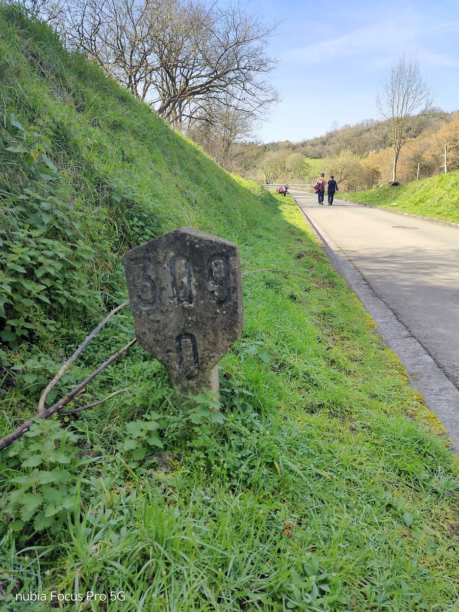 Eduardo Abad tweet media