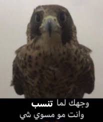 ابوي فصل على إنزاغي
وفصل علي معه