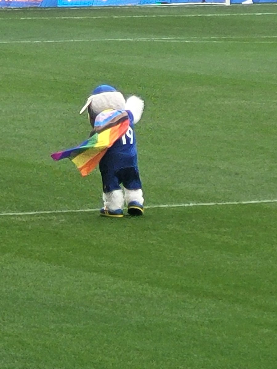 Steven Clarke tweet media