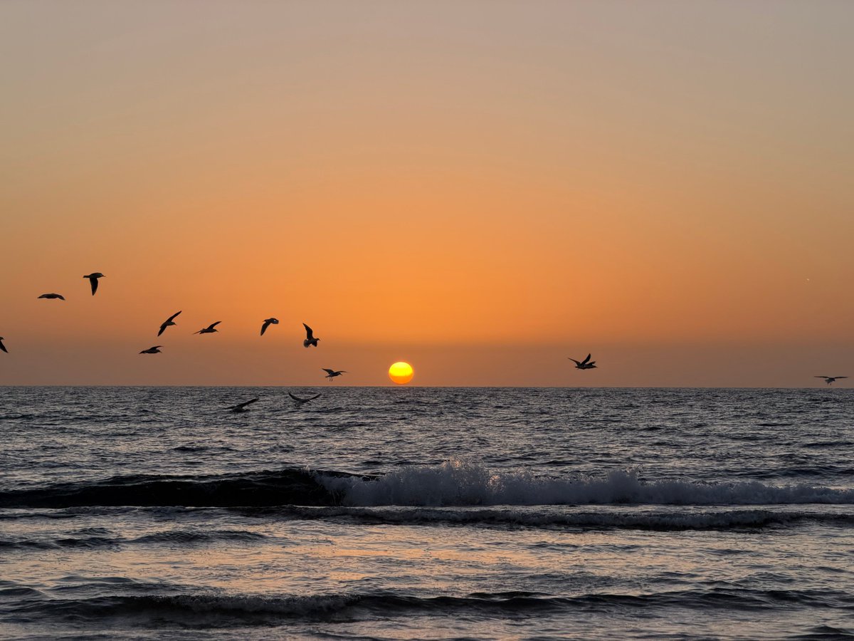 serenity tweet media
