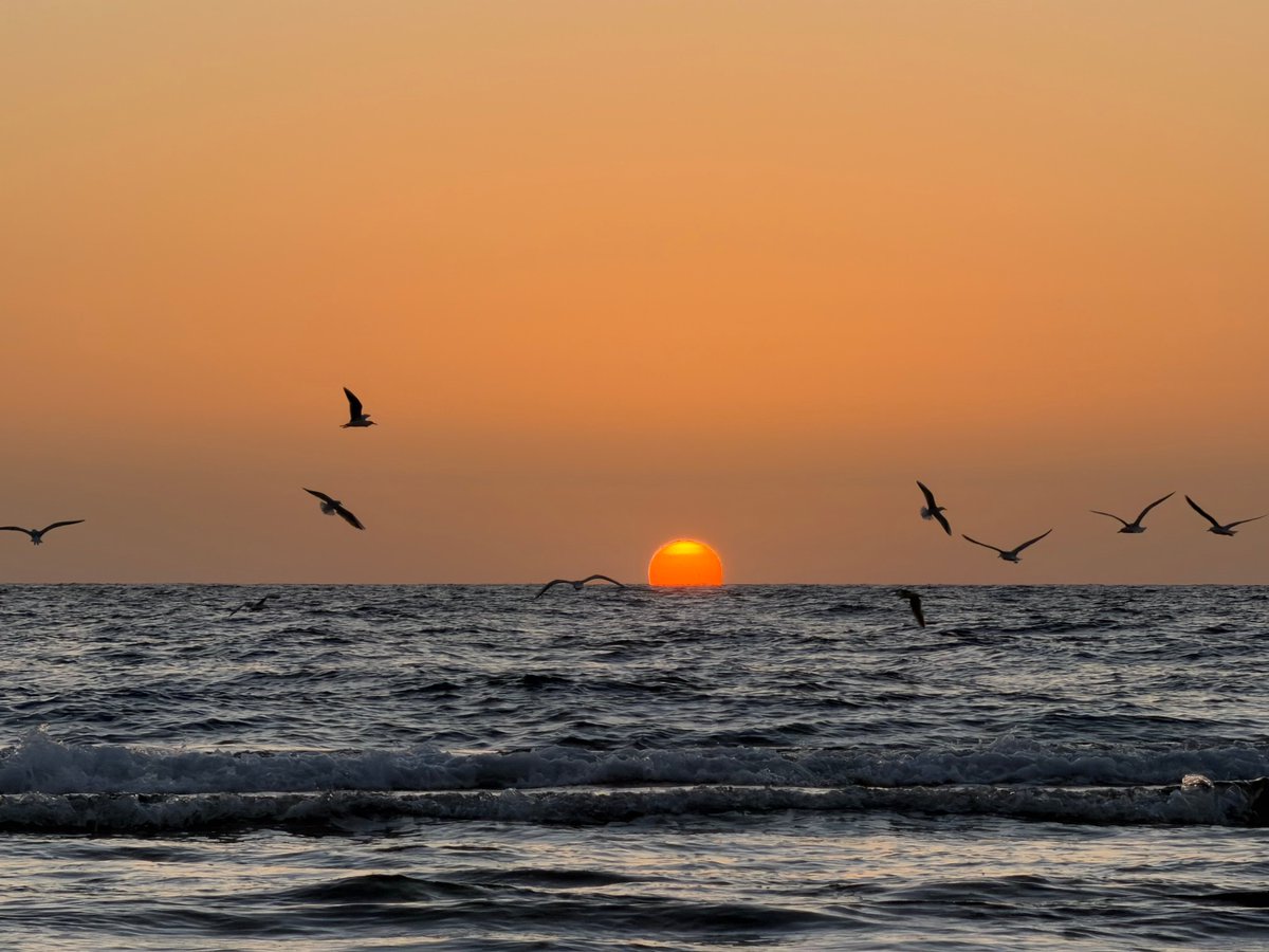 serenity tweet media