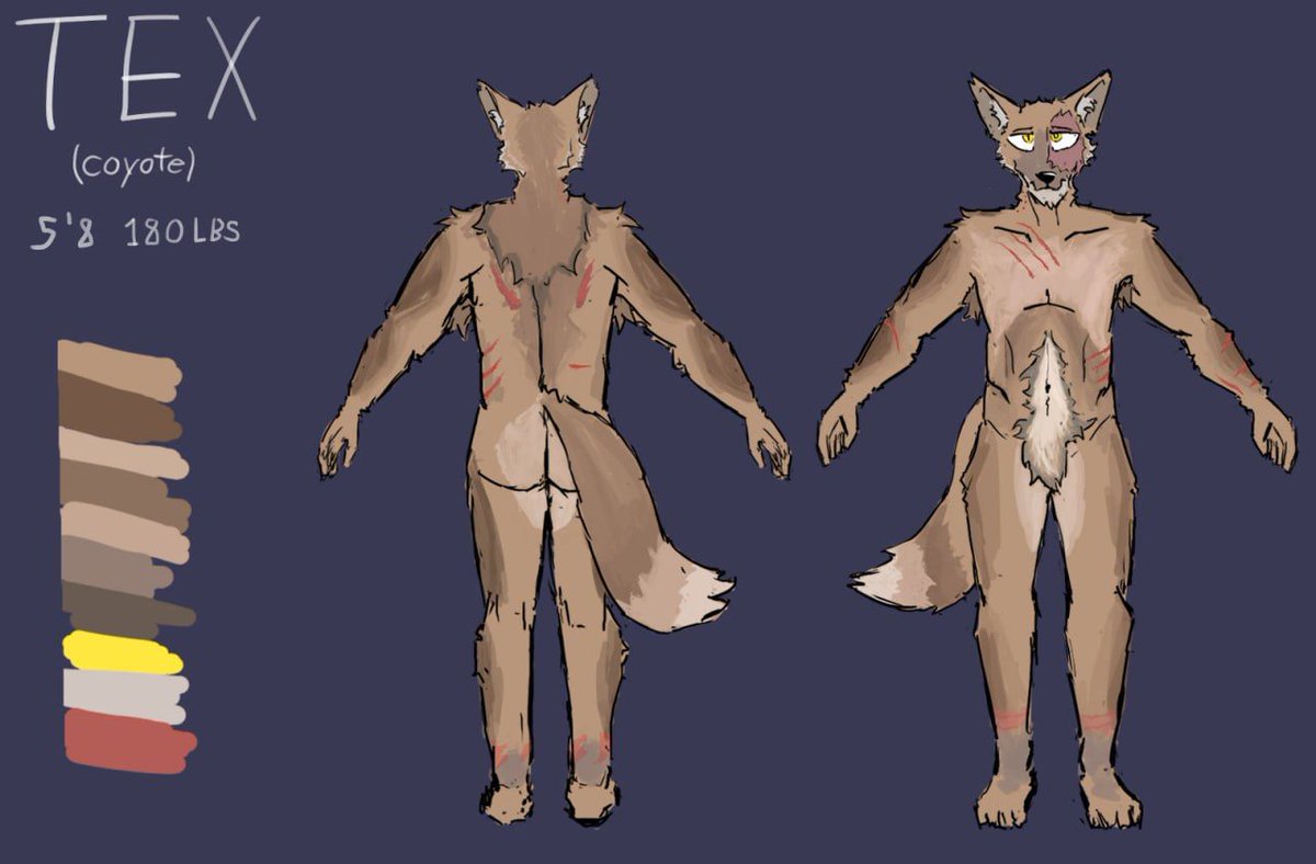 Texican yote tweet media