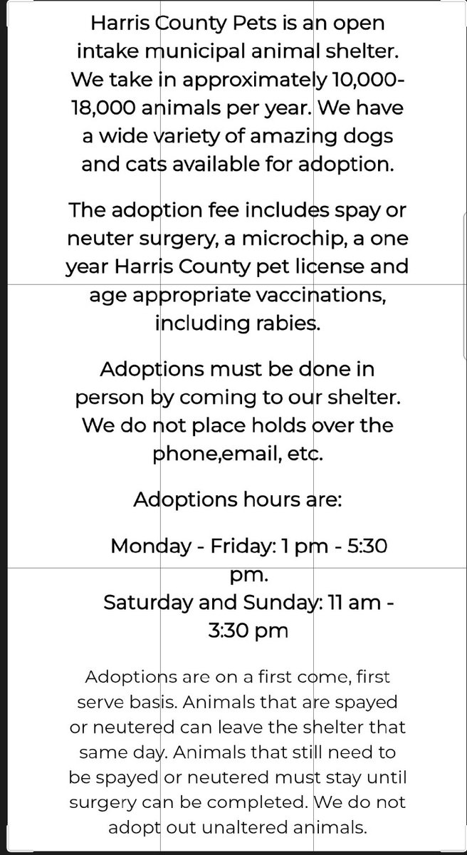 itsadogslifersq's tweet photo. #Adopt MUDDLES or #foster at ZERO COST w/a #RESCUE!
Save the life of your #BFF at high-kill "shelter" #HarrisCountyPets in #Houston #TX
#adoptable #adoptadog #fosterneeded #texasdog #lonely #houstonbestie #HoustonSingles
Out of state adoption possible‼:
https://t.co/St2pmNcySf https://t.co/bqp4Y3cgG8