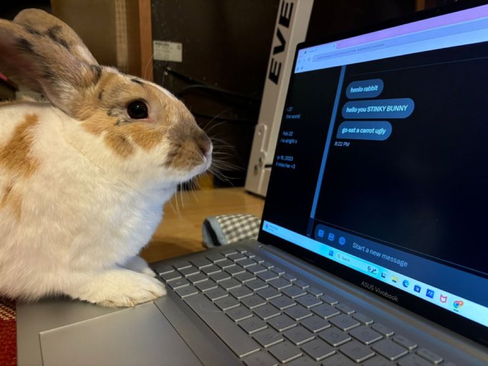 paddyloaf's tweet image. 