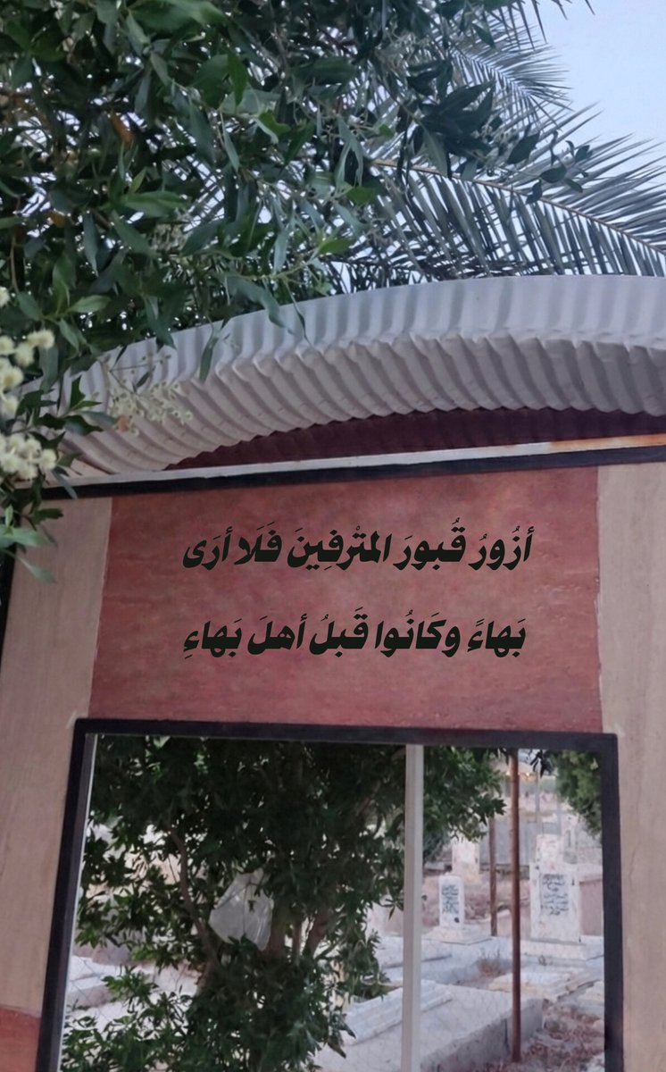 أبيات فُصحى. tweet media