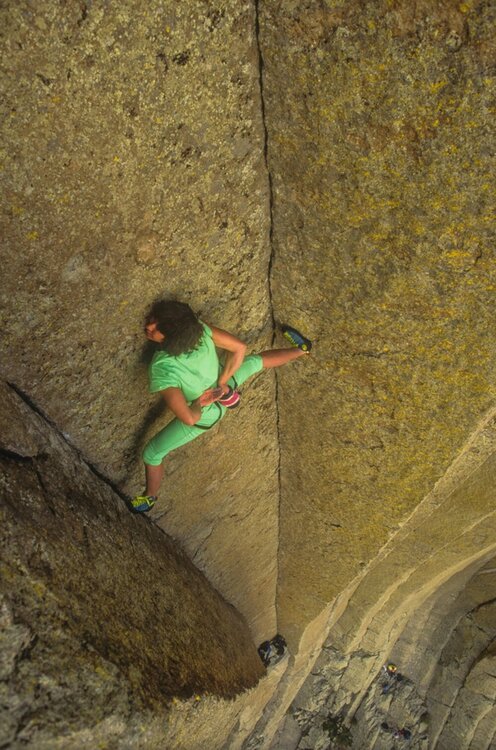 Climbing Guy tweet media