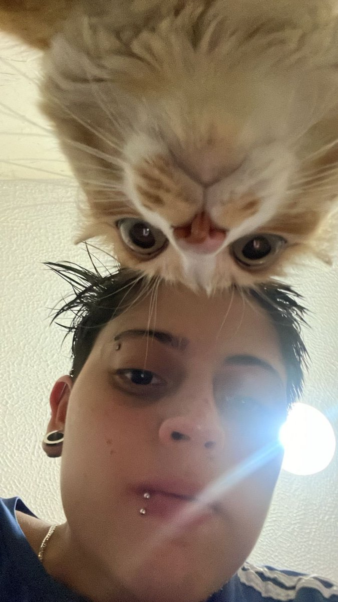 cath (4/45) tweet media