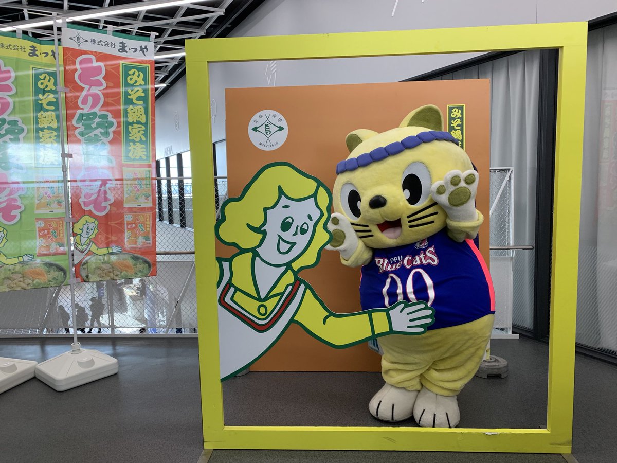 猫の日 我がかほく市のキャラクター にゃんたろう！！