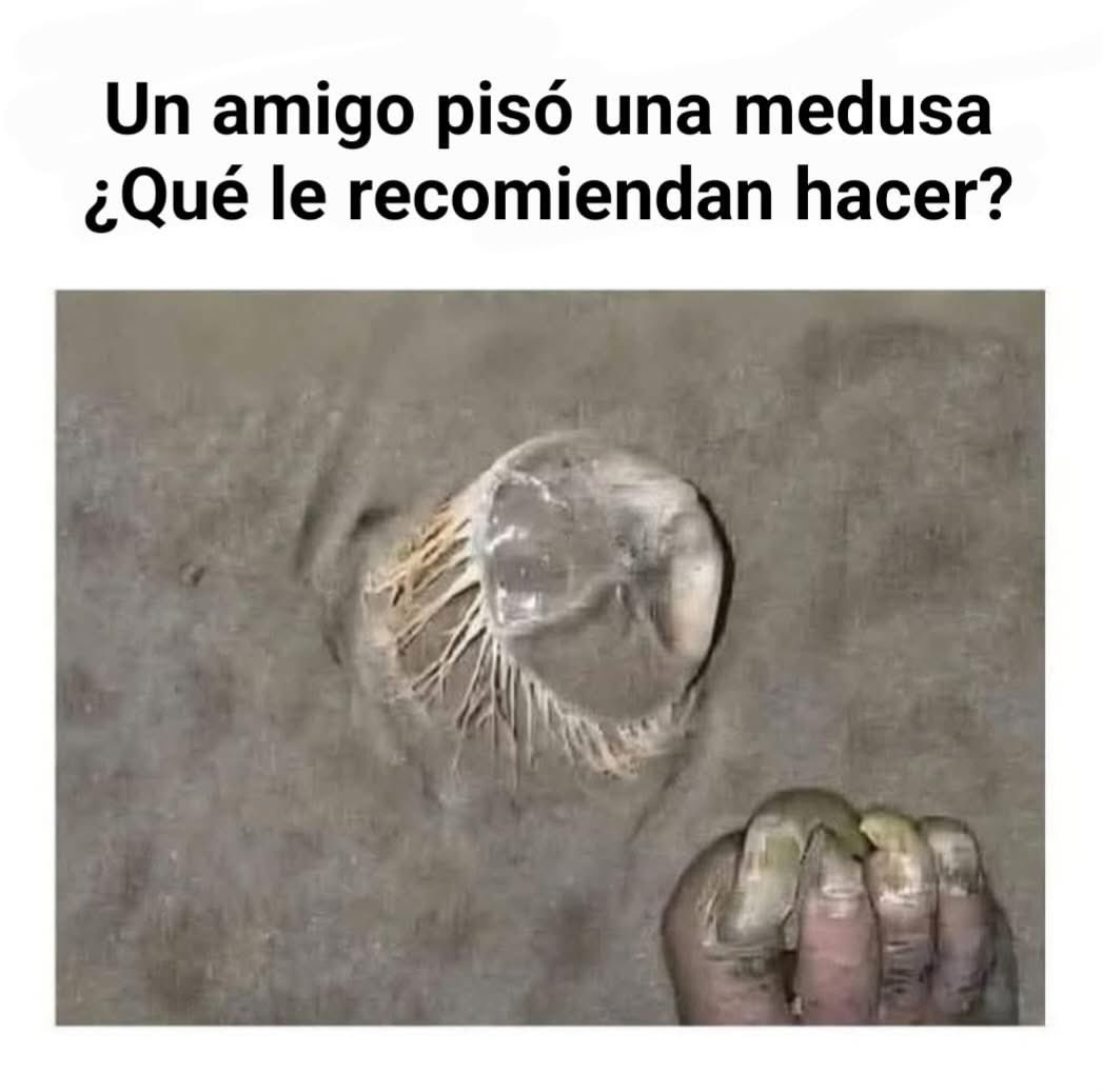 Diego Royet tweet media