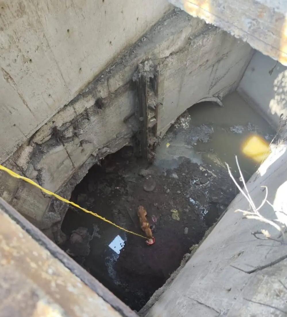 Piden apoyo de prioridad para perrito  que lleva dos días atrapado en la cañeria en
Manzana 032, Franja Valle de Mexico, 55280  #Ecatepec de Morelos, Méx.
<a href="/C5Edomex/">C5 Estado de México</a> <a href="/HCB_Ecatepec/">Bomberos Ecatepec ⛑️</a>