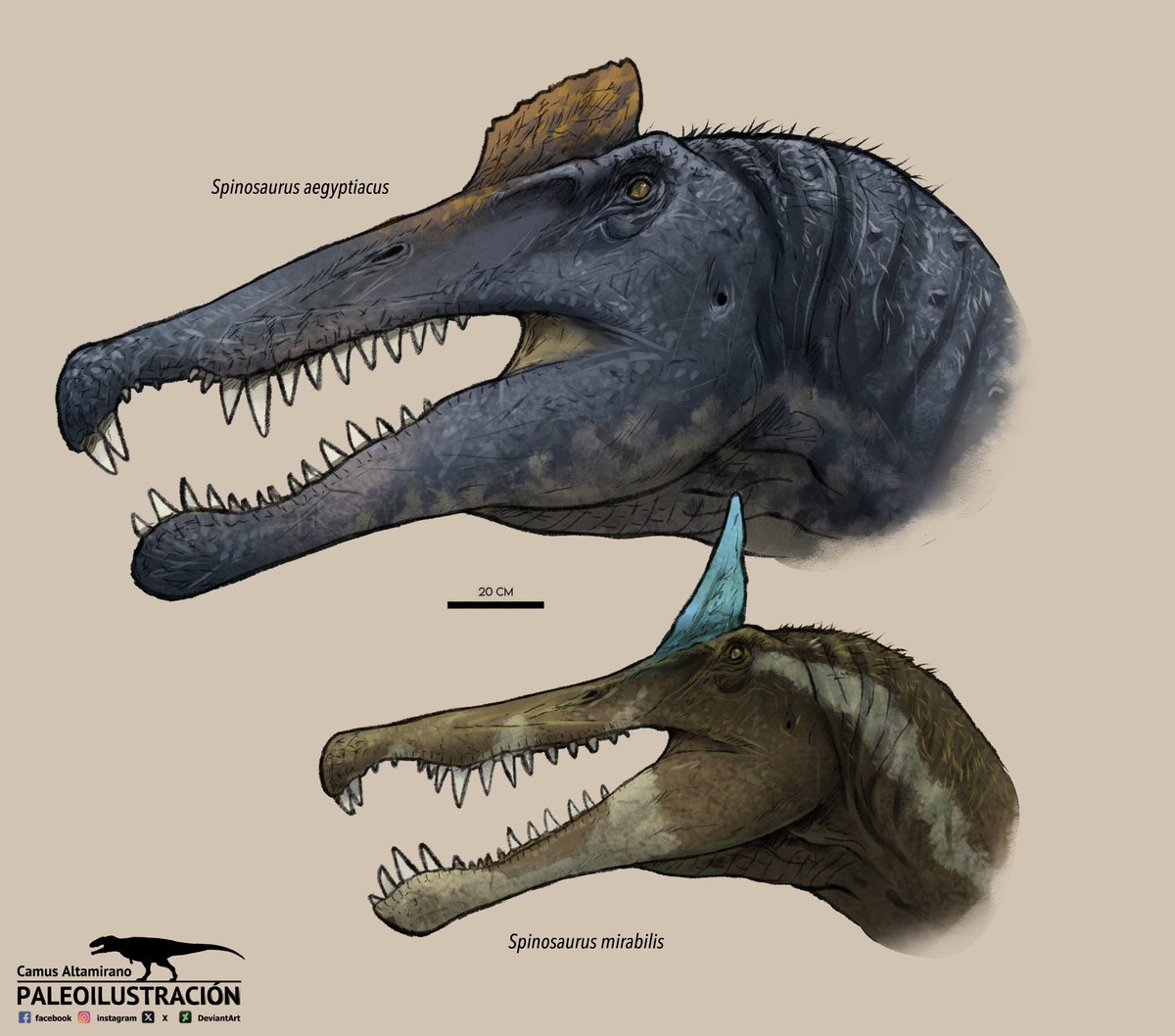 CamusAltamirano tweet media