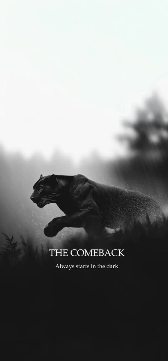 Harrybo-rg.cult 🩸💚 tweet media