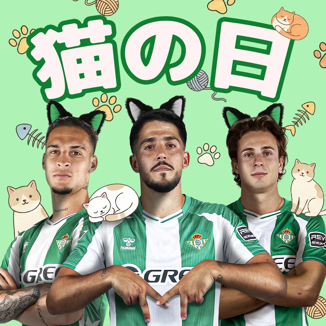 RealBetis_jp's tweet photo. 😺今日は猫の日！😺💚

#レアル・ベティス #猫の日 https://t.co/f1dH5msT5b