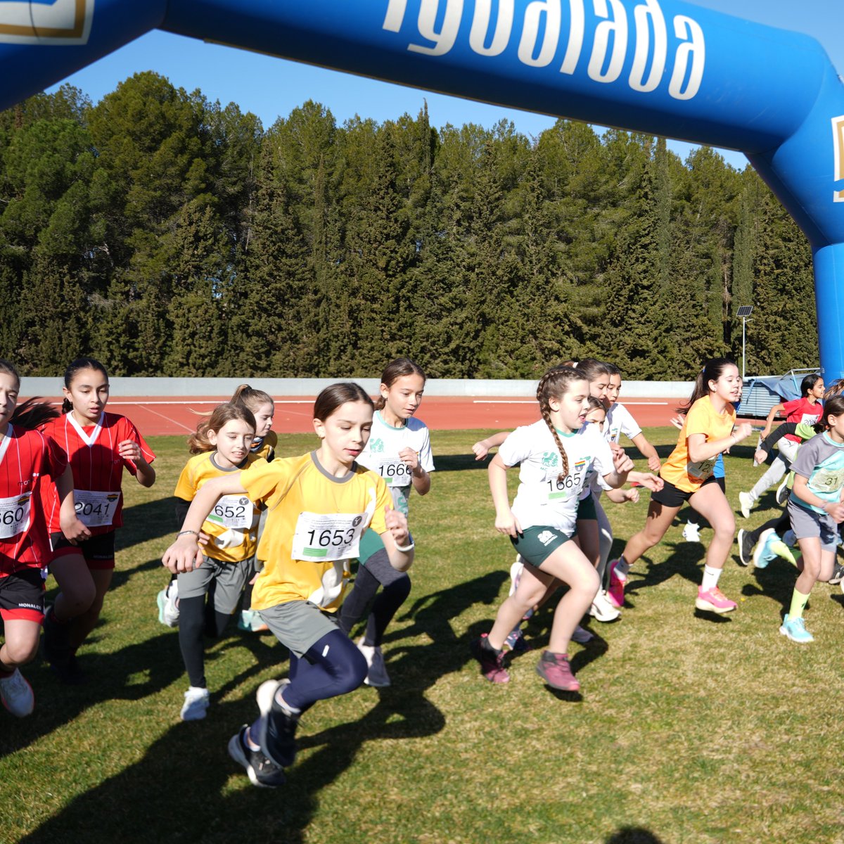 🏃‍♂️💚 Cros Comarcal de l’Anoia -12è Cros Escolar i Popular de l'Emili Vallès: jornada festiva amb +330 atletes! Primer #CrosInclusiu, obert a totes les edats i diverses capacitats. L’esport uneix!

Resultats, classificacions, fotos i nota de premsa 👉 tuit.cat/yLRrq