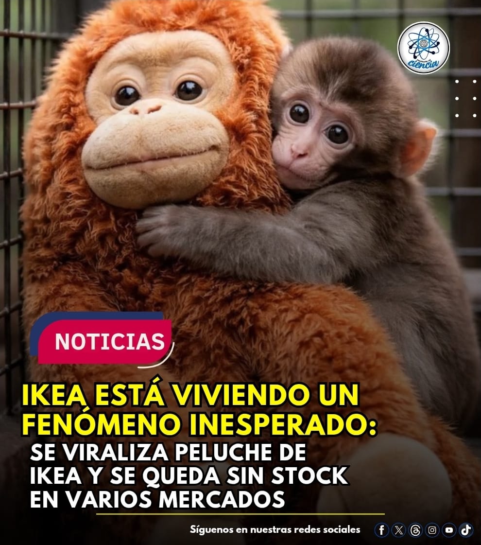 EnsedeCiencia's tweet photo. ⚠️El famoso peluche DJUNGELSKOG de la empresa sueca IKEA está viviendo un fenómeno inesperado: la demanda explotó y en muchas tiendas ya no hay existencias disponibles.

Tras hacerse tendencia en redes, miles de personas comenzaron a buscarlo al mismo tiempo, lo que provocó que el inventario se agotara en distintos países. La empresa ya pidió paciencia a sus clientes mientras trabajan para reabastecerlo.

Lo que parecía un simple peluche hoy es uno de los artículos más buscados del momento.