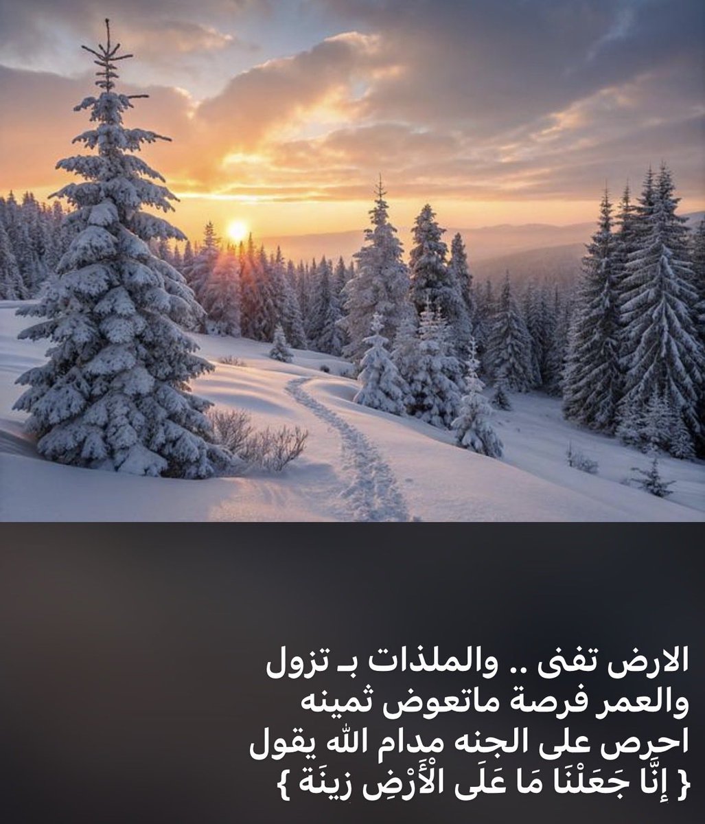 الركن الهادي tweet media