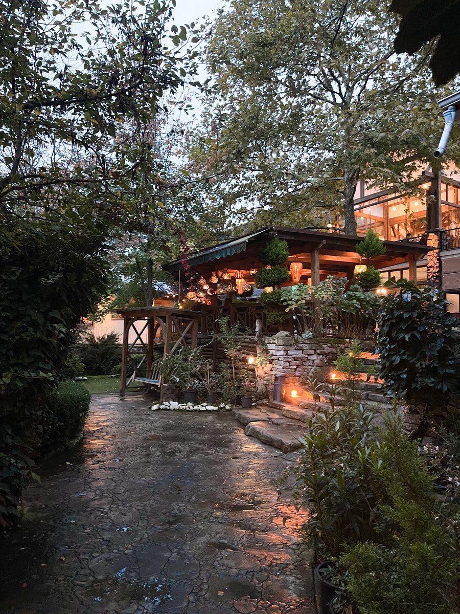 meshari.m tweet media