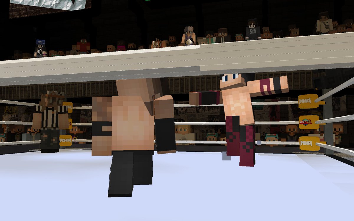 Minecraft Wrestling Alliance tweet media