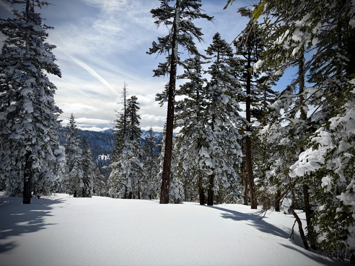 Off piste w/ fresh pow ❄️, untracked, bluebird day ☀️

“numinous”