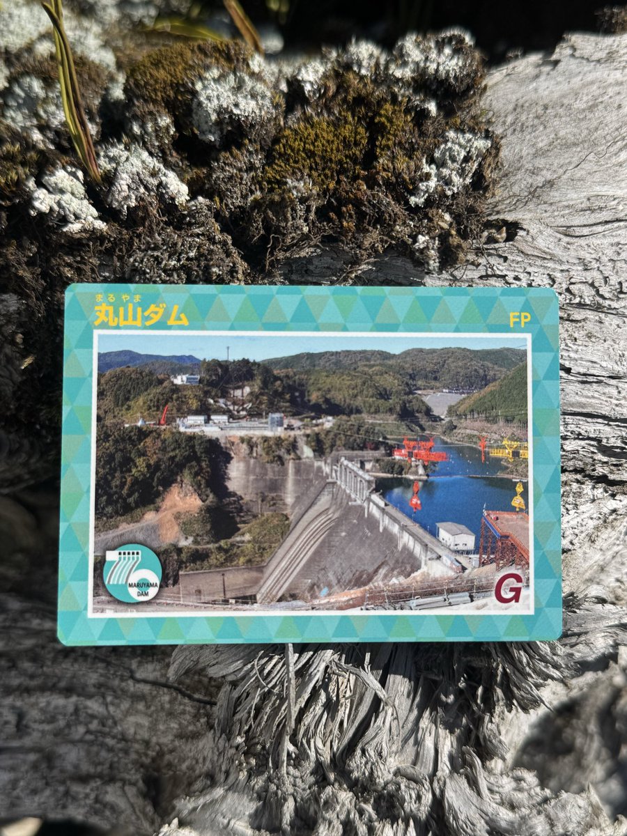丸山ダムのダムカードGETだぜ‼️限定カード貰うために三度も来ると誰も