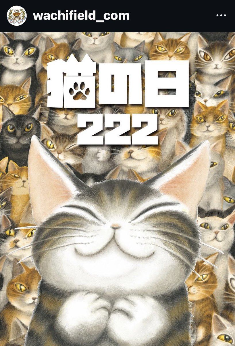 Post by YUKI_DLF on X: #猫の日