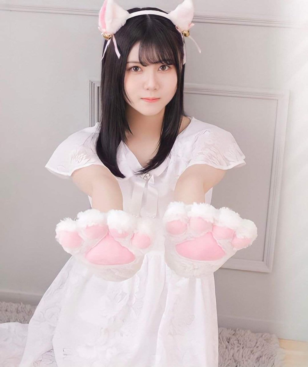 Post by ゆっきー on X: #猫の日