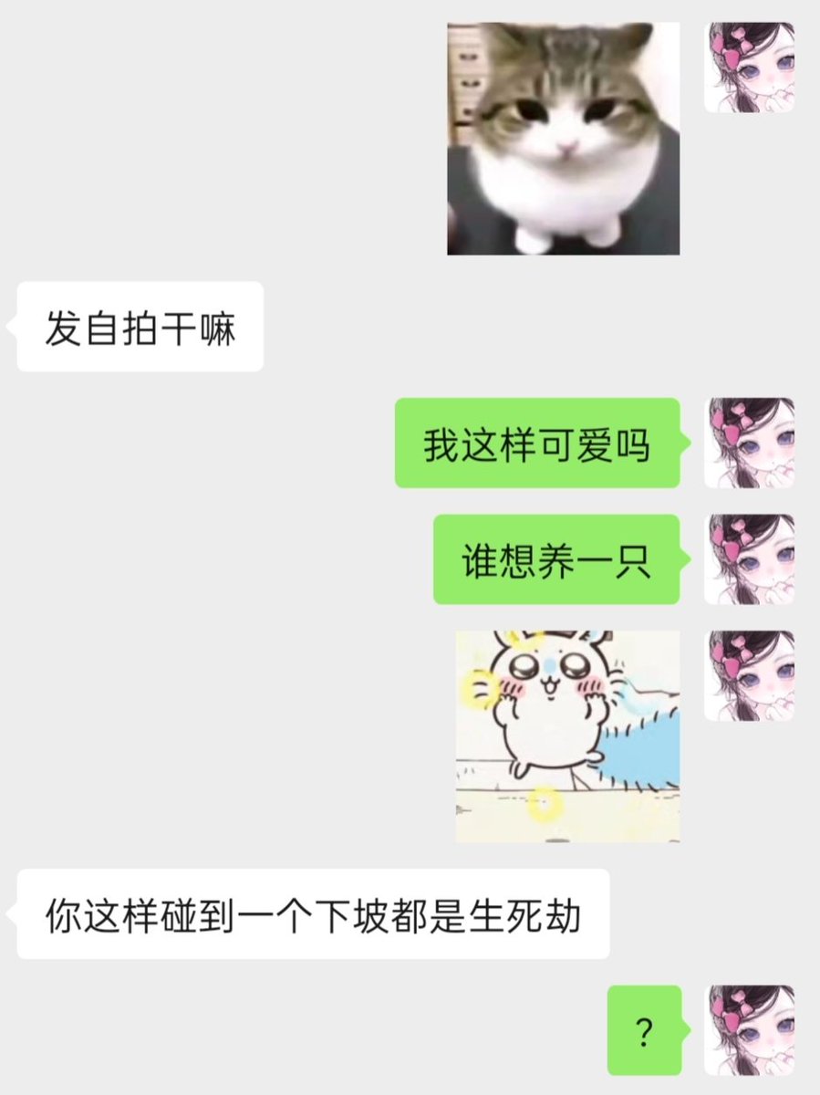 小咩i tweet media