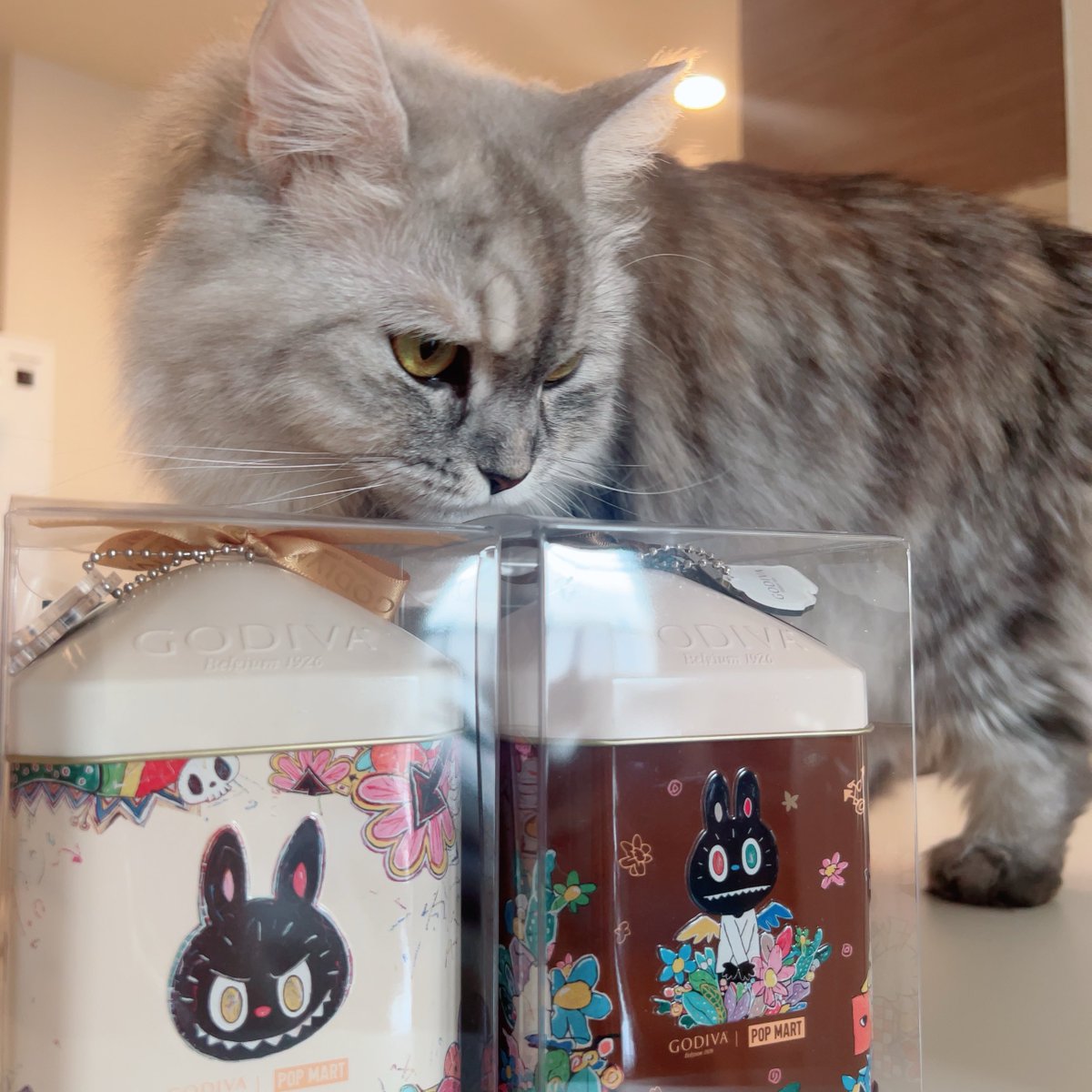 とらとら🐯🤍 (@toratolach) / Posts / X