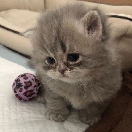 ℒ𝓊𝒾𝓈𝓂𝑒𝑒𝓌𝒾𝓈 tweet media