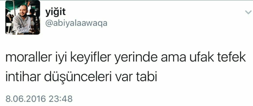 İT KÖPEK A.Ş. (@itkopekas_) on Twitter photo 