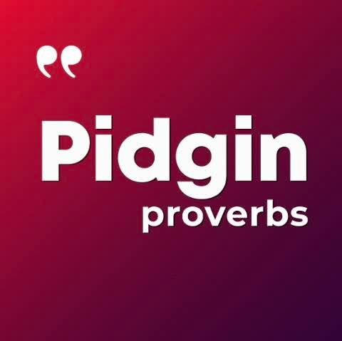 Best Pidgin proberbs:

Who wan bite person for nose, no dey fear catarrh. 

Monkey wey dey jump from tree to tree say him get skills, but na because tree near tree. 

Pig say if waist start to shake, waka don start be that.

Goat wey follow lion go catch fish suppose sabi say