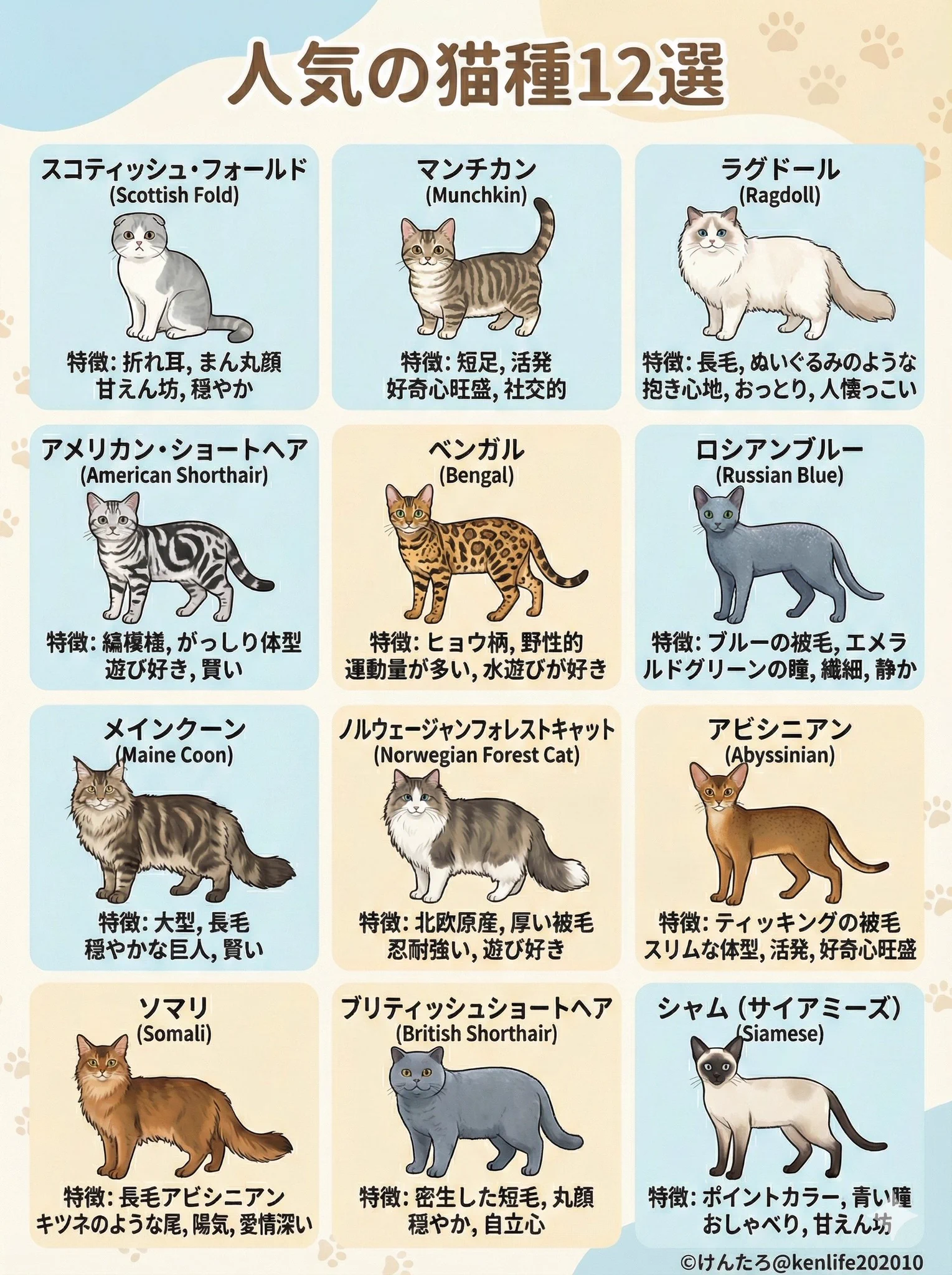 けんたろ| 知識図解 on X: 