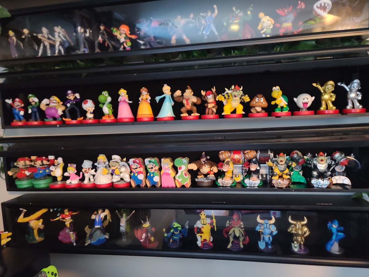 Alex CND tweet media