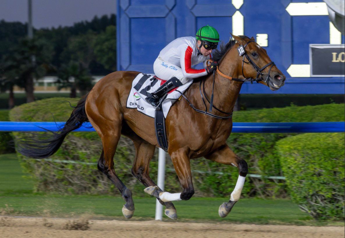 قالوب tweet media