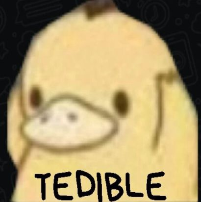 DevZerx7's tweet photo. @zDrako7 @PoisonDPepper https://t.co/8BlIQR5bqX