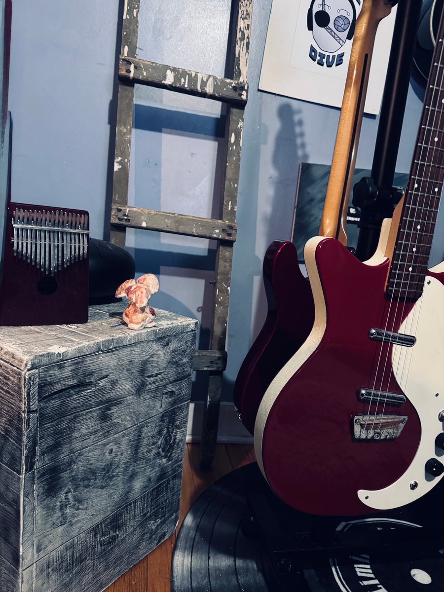 The Static Dive tweet media