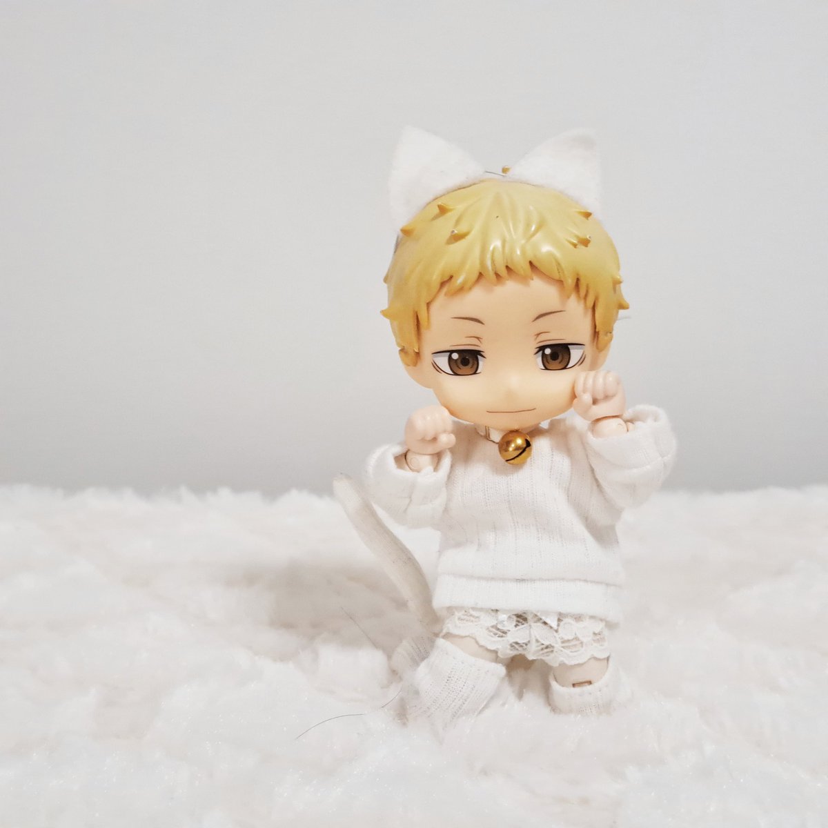 かわいい白猫ちゃんになってもらいました…。 #ねこの日 #猫の日