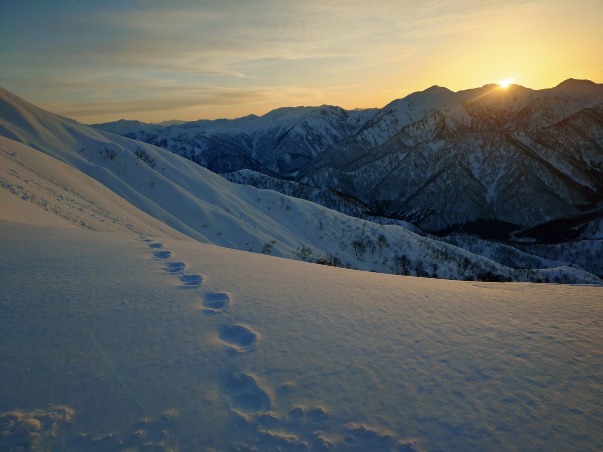 ふぉあ tweet media