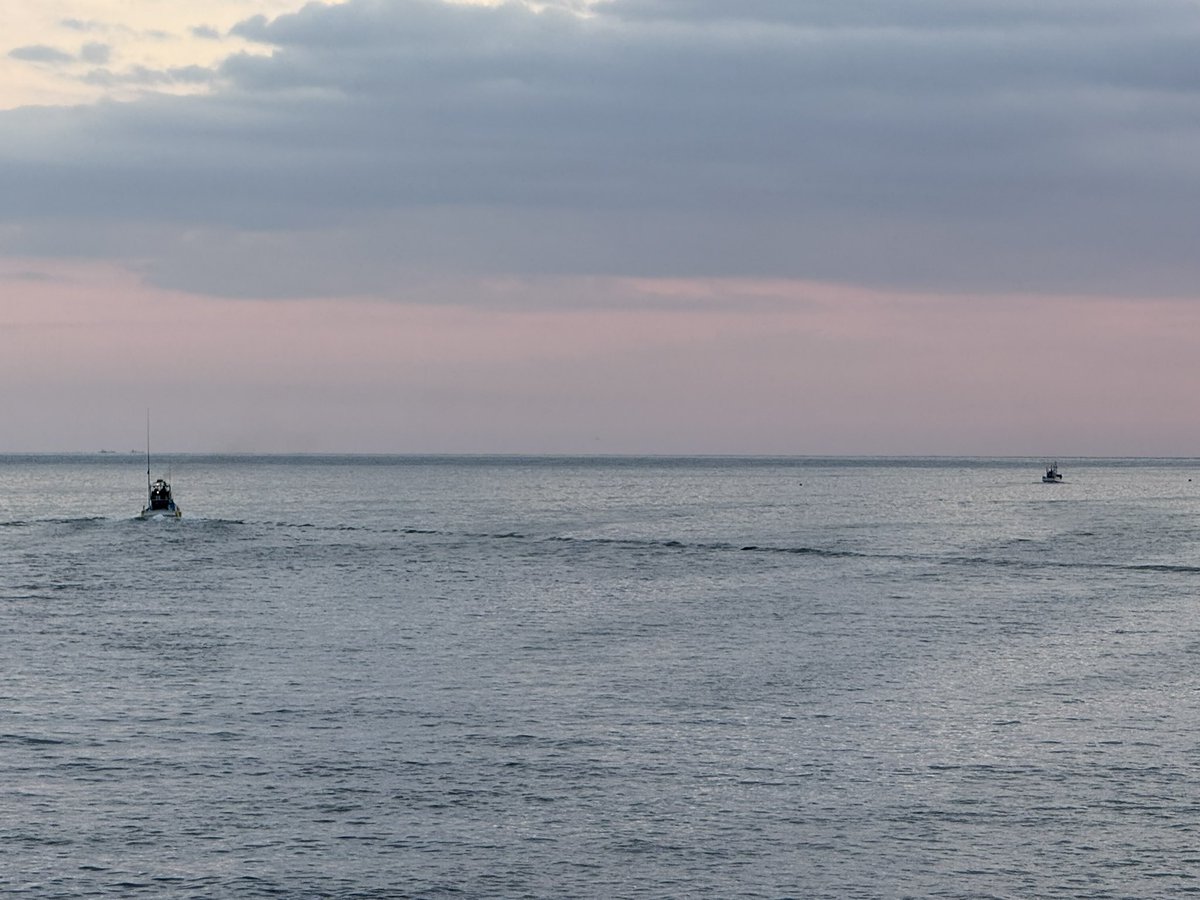 KunitoSeko's tweet photo. Good morning everyone.
The hunting boat left the harbor at 06：32

#和歌山 
#太地
#Taiji
#太地くじらの博物館 
#太地くじら浜海水浴場 
#太地いさな組合 
#太地漁業協同組合 
#イルカ追い込み猟廃止を求める 
#イルカ追い込み猟 
#イルカ追い込み反対 
#イルカトレーナー 
#イルカ https://t.co/oAU0RolhZL
