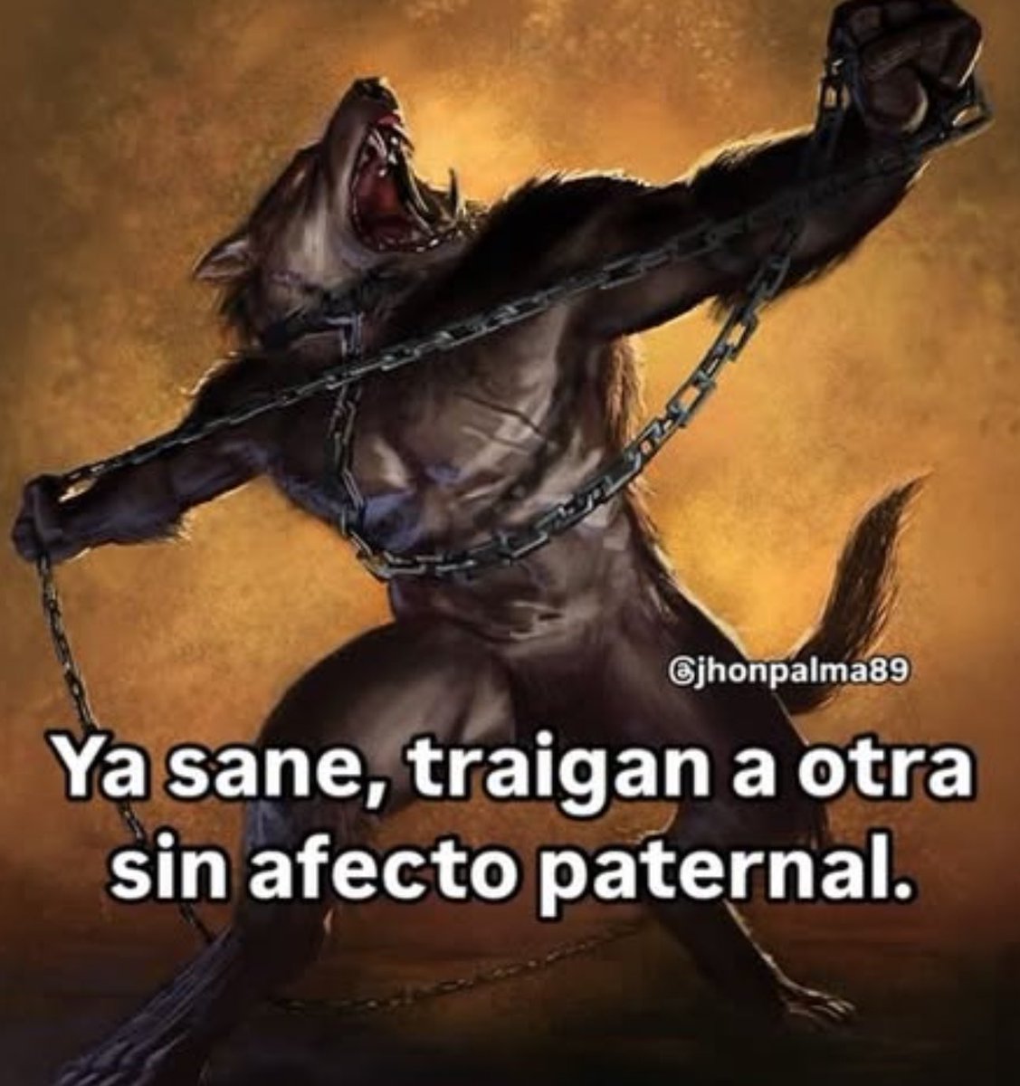 chincheto pirata somali (@wikipistacho) on Twitter photo 