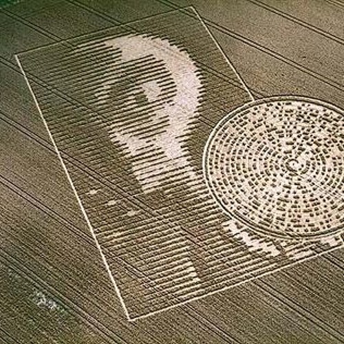 Simulation Schizo tweet media