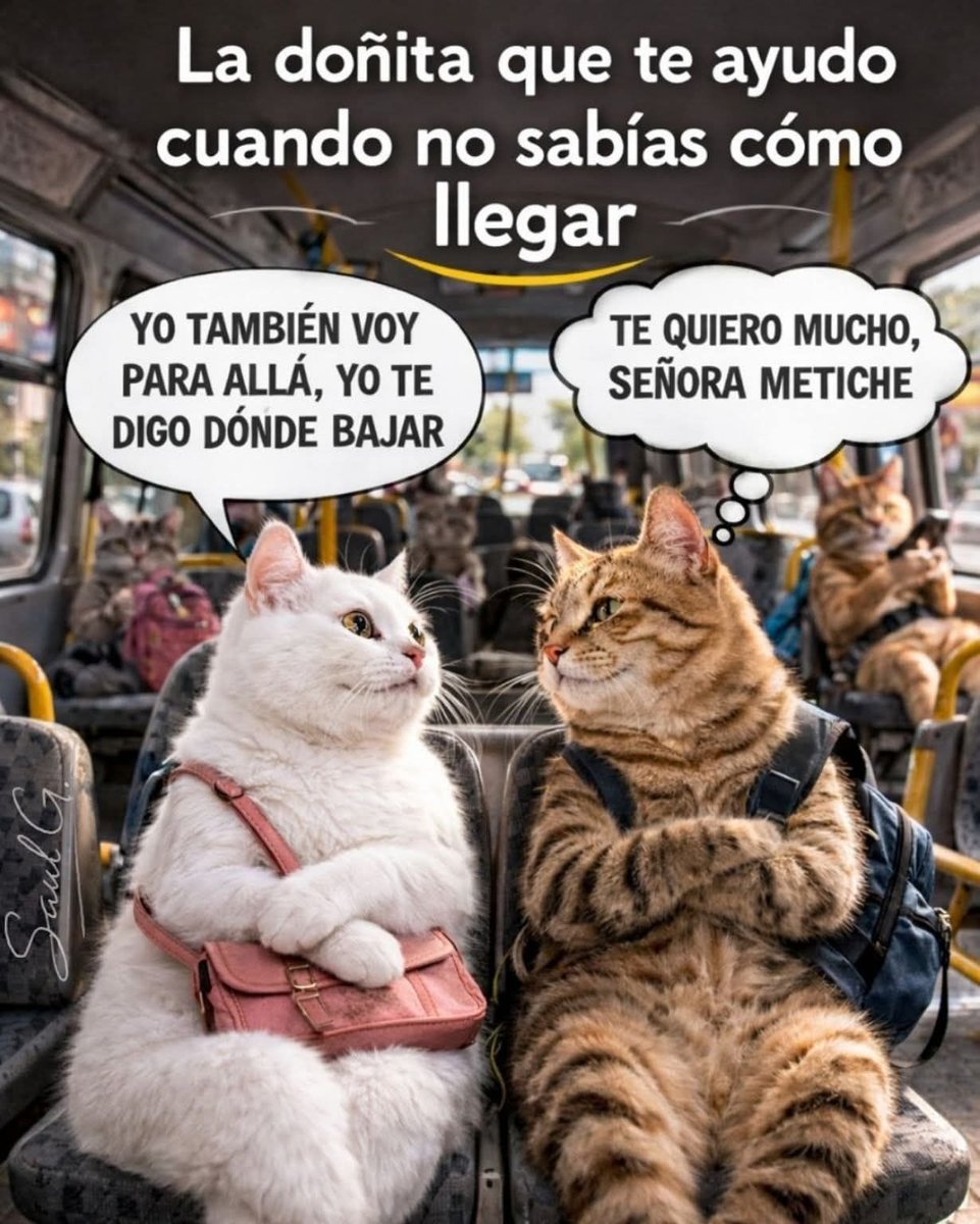 Más Ciencia tweet media